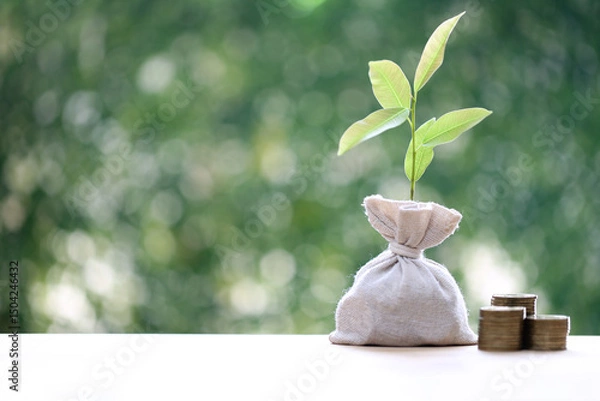 Obraz Trees growing on stack of coins money in money bag on green background, investment and business concept