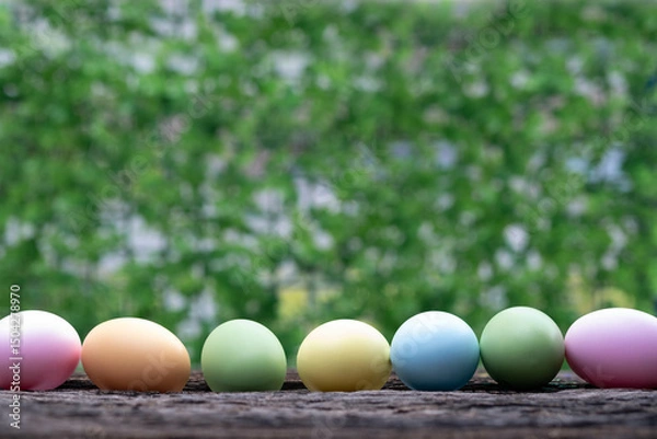 Fototapeta A row of pastel-colored eggs rests on a wooden surface, set against a blurred green background, creating a vibrant springtime feel. Easter egg