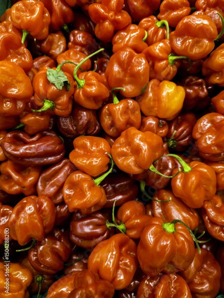 Obraz Red peppers in a market