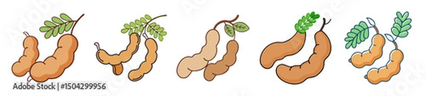 Fototapeta tamarind fruit icon, tamarind fruit line art - simple line art of tamarind fruit, perfect for tamarind fruit logos and icons
