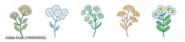 Fototapeta yarrow flower icon, yarrow flower line art 