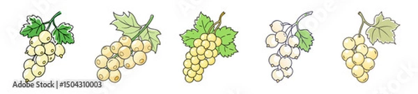 Fototapeta whitecurrant icon, whitecurrant line art