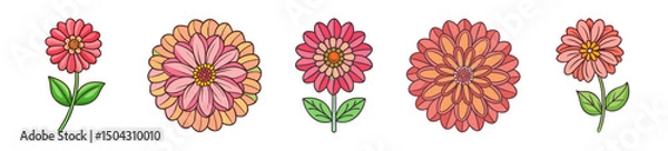 Fototapeta zinnia flower icon, zinnia flower line art