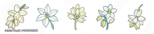 Fototapeta yucca flower icon, yucca flower line art