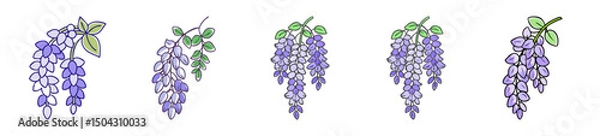 Fototapeta wisteria flower icon, wisteria flower line art