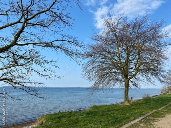 Obraz Camping Wismar