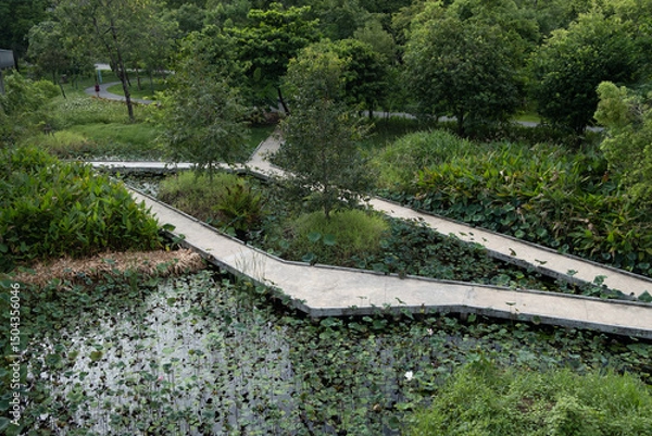 Obraz Benjakitti Forest Park, is a new landmark in Bangkok, Thailand