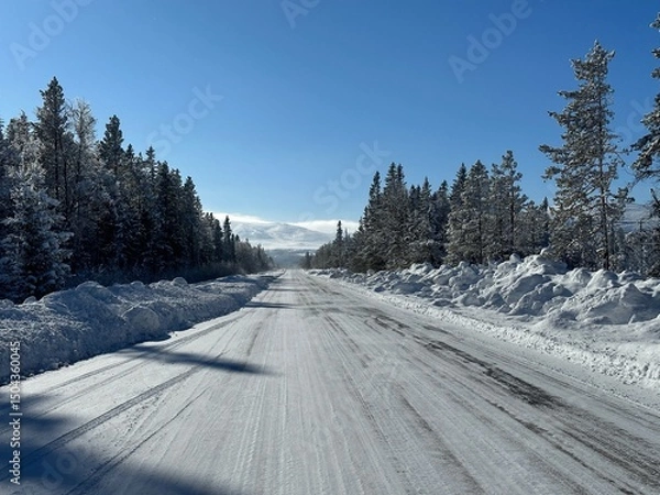 Obraz Winter scene of a snowy road with frosted trees under a bright, clear blue sky in north Sweden.