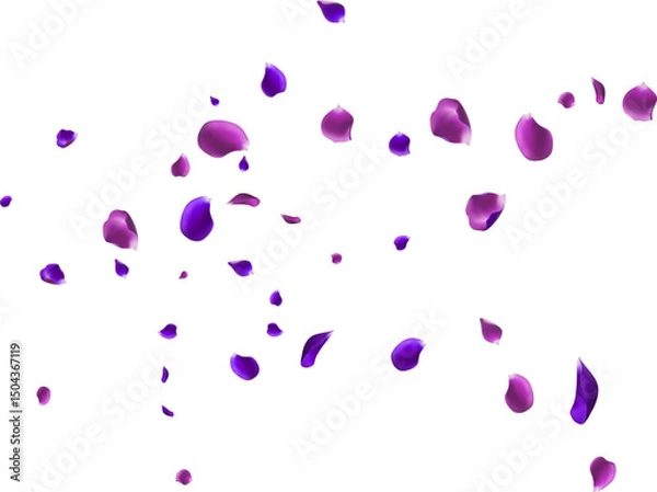 Obraz Flying Purple Rose petals on a white background. Floating flower