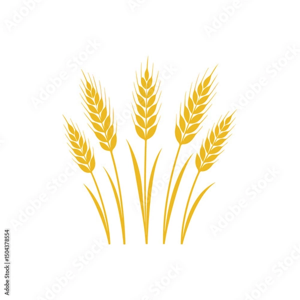 Obraz golden wheat illustration