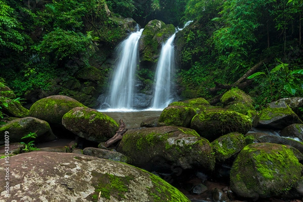 Fototapeta Beautiful waterfall in deep forest at Thailand. Nature background.