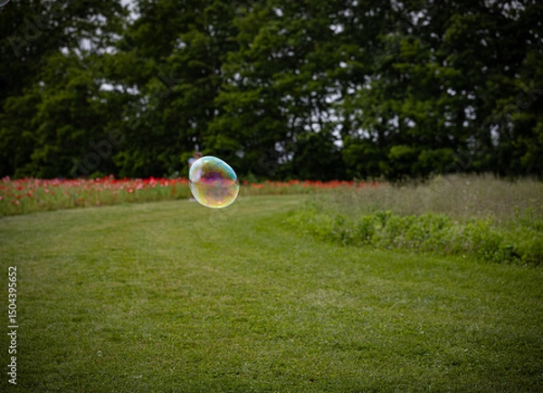 Fototapeta Iridescent Soap Bubble Floating Over a Grassy Field in a Park