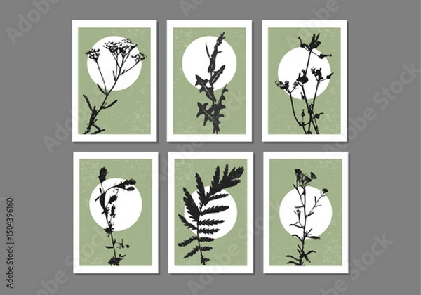 Obraz Set of trendy minimalist botanical vector illustration with branch and leaves