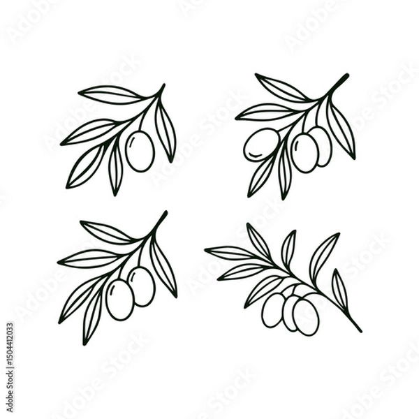 Obraz Set of olive branches. Hand drawn in doodle style. Vector isolated on white background.