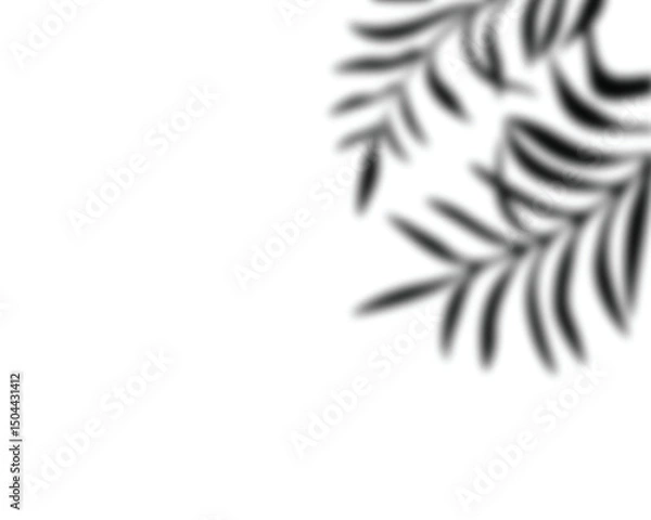 Fototapeta leaf shadow vector