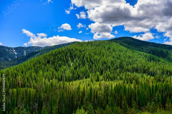 Fototapeta 2023-12-31 A BEAUTIFUL TREE COVERED MOUNTAIN WITH A NICE SKY JUST OUTSIDE OF COEUR D'ALENE IDAHO