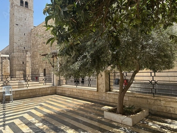 Obraz Saladdin Grave