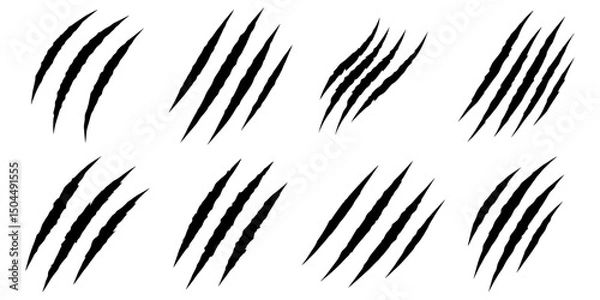 Obraz Black claw scratches. Bear tiger claws trails, animal scratched white paper. Lion or dinosaur flat scratch marks, racy wild beast tracks vector clipart