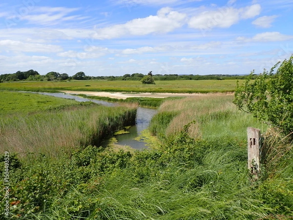 Obraz Reeds in deep pools of water by coast 