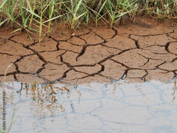 Obraz Cracked earth with salt water