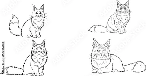 Fototapeta A set of Adorable cute fluffy Maine Coon cat hand drawn icon cartoon character line art vector illustration outline image

