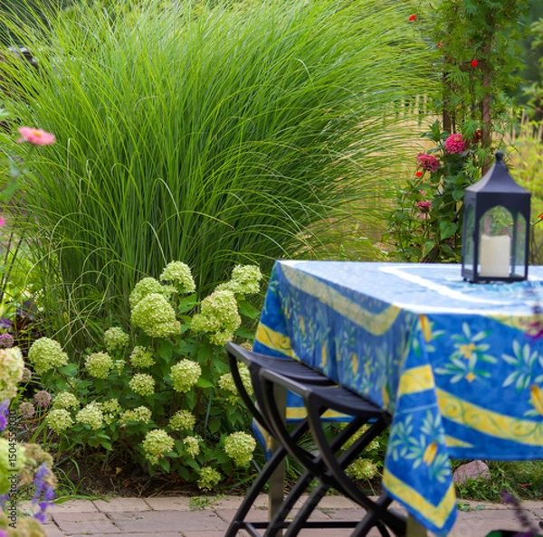 Obraz A beautiful French tablecloth perfectly matches the little lime hydrangeas surrounding this patio along with the privacy screen of miscanthus sinensis, Morning Light