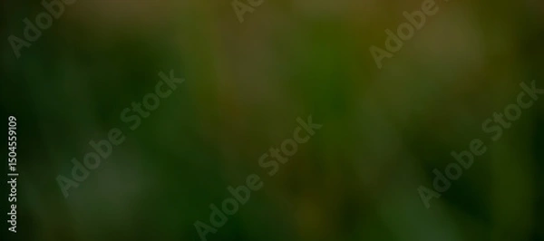 Obraz This image features a rich, earthy olive green gradient with hints of moss, deep forest green, and warm golden undertones. It gives a natural, woodland feel—A perfect backdrop for wine bottle label. 