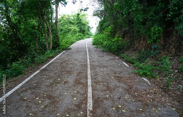 Obraz Empty curved concrete roadway winds through a green nature park with trees and plants in the forest, national park view at Kaeng Krachan Dam, Phetchaburi Province,Thailand.