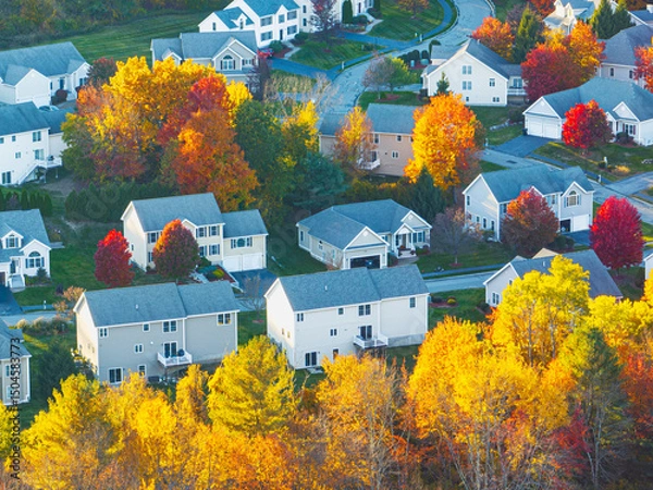 Fototapeta Aerial view of suburban housing community in autumn season with colorful trees