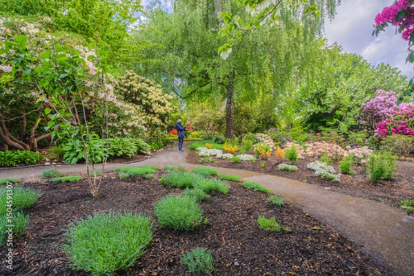 Fototapeta Taking in the splendor in the gardens at Deer Lake Park, Burnaby, BC, during Spring.