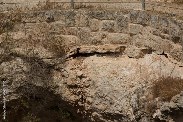 Fototapeta Reptiles are eternal inhabitants of wells and ancient reservoirs