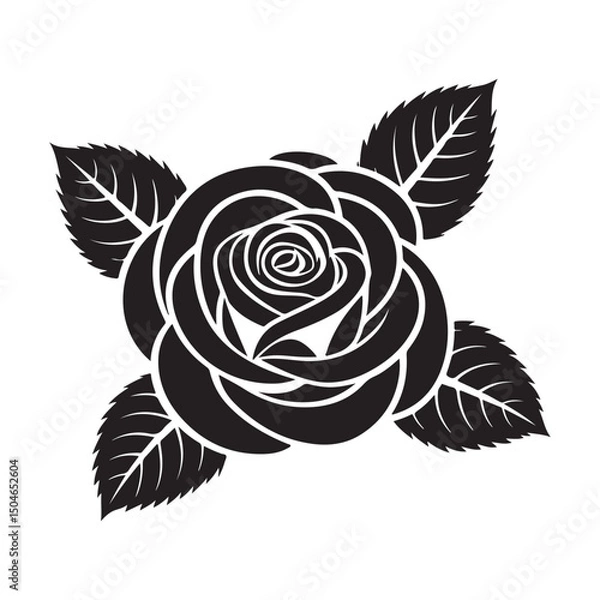 Obraz Elegant black and white rose vector art illustration