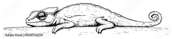 Fototapeta chameleon crawling in outline engraving sketch style