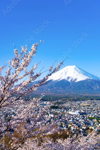 Obraz 山梨県富士吉田市　春の新倉山浅間公園