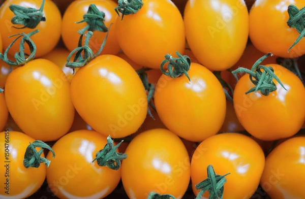 Obraz Yellow Cherry Datterino Tomatoes Background