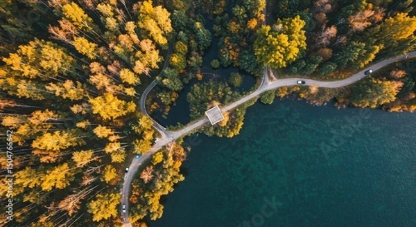 Fototapeta a winding road through a forest with trees in the background