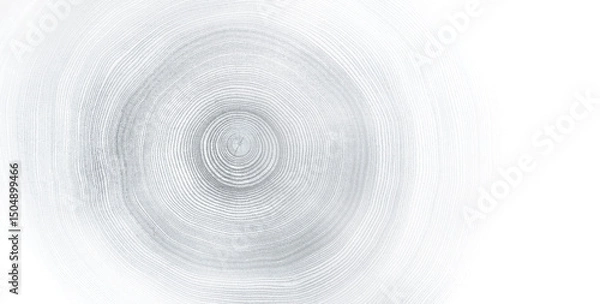 Fototapeta Light gray blue monotone impression of end grain of wood slab. Tree rings art with texture and smooth surface.
