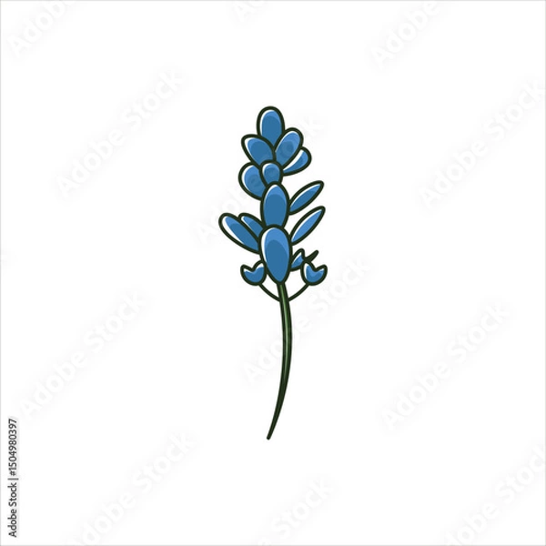 Fototapeta Blue bonnet Flower Colored Illustration