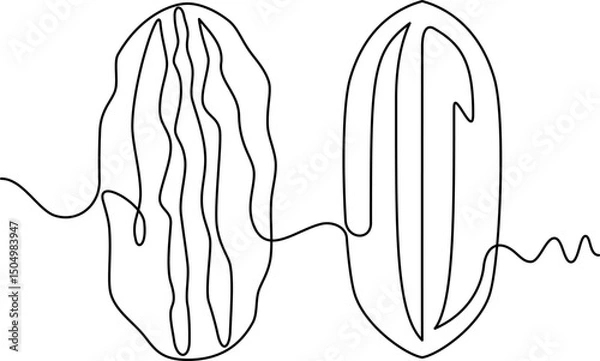 Fototapeta one line art Pecan Nut vector illustration. line art, one continuous line, simple, hand drawn and sketch style. for icons, symbols, signs or logos. PNG