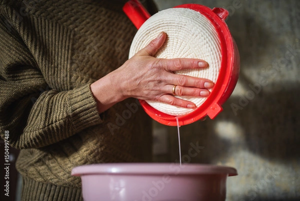 Obraz Cheese processing