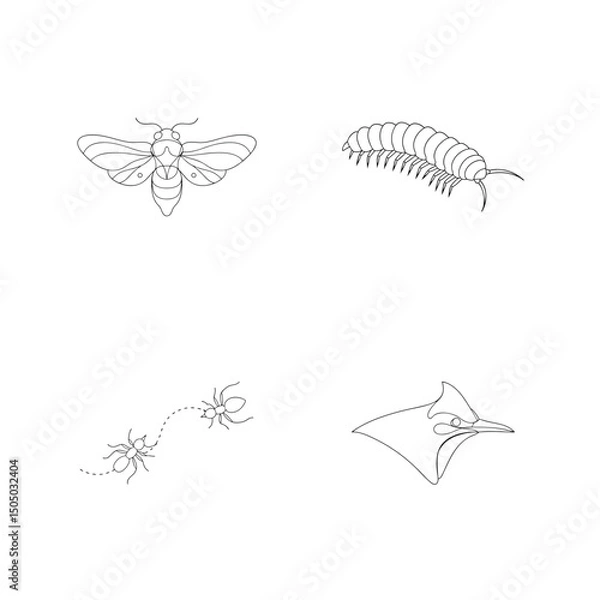 Fototapeta Minimalist line drawings of insect and bird designs perfect for nature themed graphics