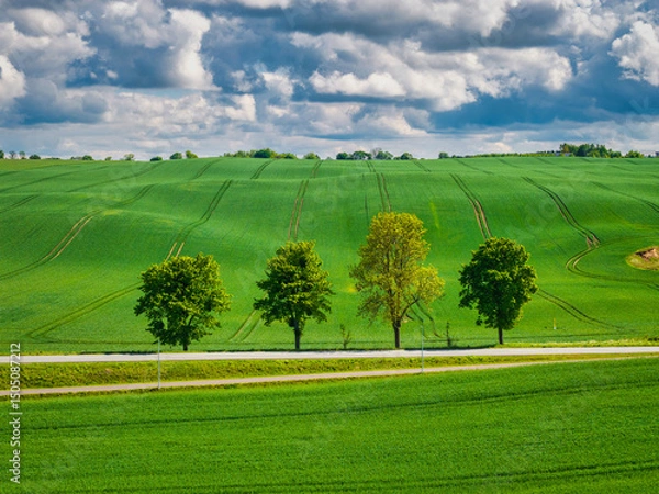 Fototapeta Aerial landscape of the green fields in northern Poland at spring time.