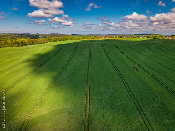 Fototapeta Aerial landscape of the green fields in northern Poland at spring time.