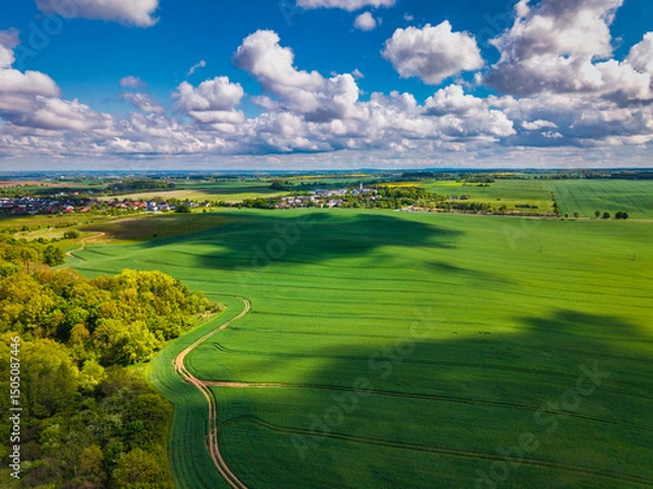 Fototapeta Aerial landscape of the green fields in northern Poland at spring time.