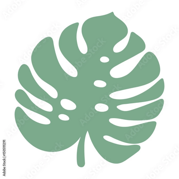 Fototapeta Green tropical monstera leaf illustration for modern design. Tropical element adds fresh tropical vibe to project needs