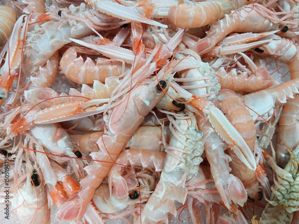 Fototapeta Fresh norway lobsters piled high on ice at market stall displaying vibrant colors and textures