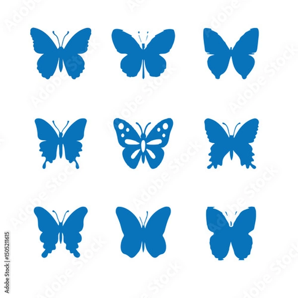 Obraz butterfly vector image 3
