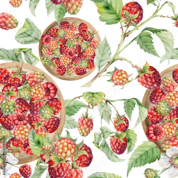 Fototapeta Raspberry mulberry loganberry berries leaves served on ceramic dish, hand drawn in watercolor, ripe picked harvest. Isolated seamless pattern. Farmers market grocery, home preserves, food packaging