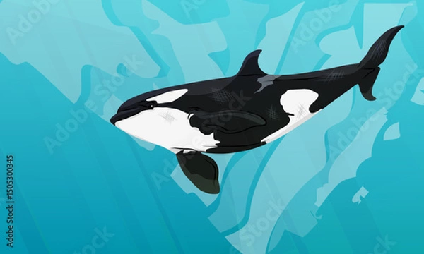Obraz Killer whale swims in the ocean water. Seascape. Realistic vector landscape