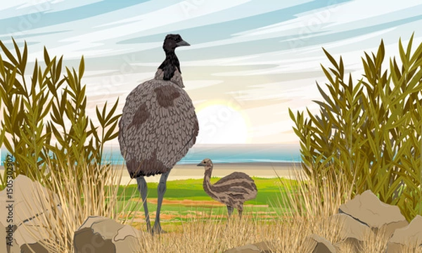 Obraz A mother emu and her chick walking along the coast. Realistic vector landscape
